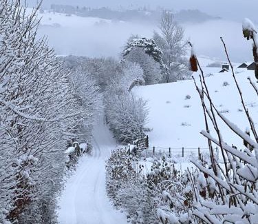 Ambleside Ski Chalet | Treeside woodhouse