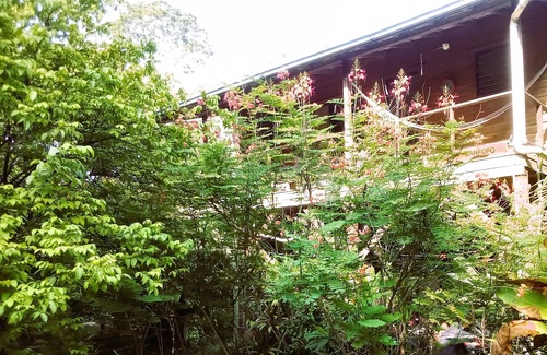San Ignacio House | Treetop 'jungle Like' Escape in San Ignacio Your Belize Oasis Awaits!