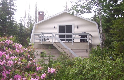 Tremont Apartment | Treetop retreat with access to kayaks and rowboat near Acadia National Park