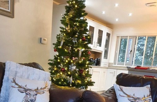 Otterburn Cabin | Treetops - 3 bedroom lodge with Hot Tub set in the National Park