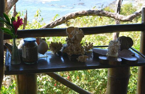 San Juanillo Bed & Breakfast | TreeTops Inn