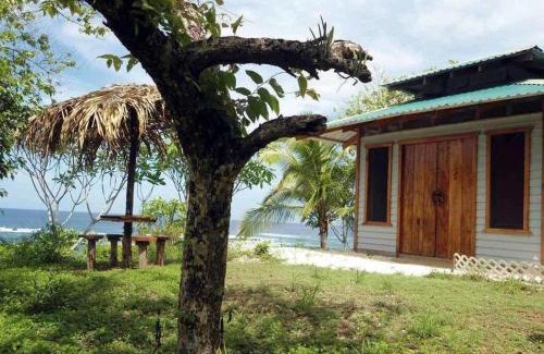 San Juanillo Bed & Breakfast | TreeTops Inn