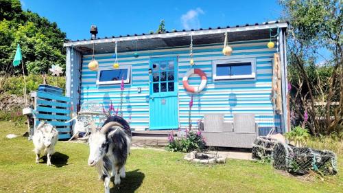 Redruth Other | Treguth Glamping Unique Experience - Themed Huts