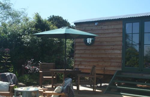 Otterham Other | TREKLYS Shepherds Hut