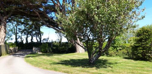 Mawnan Smith House | Trelawne Garden Annexe