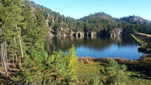 Rapid City House | Trendy and Spacious Cabin Surrounded by Nature in Rapid City, South Dakota