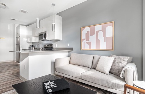St. Elizabeth's Apartment | Trendy Brighton 1BR w/W/D, Gym, near T, Shops + Dining