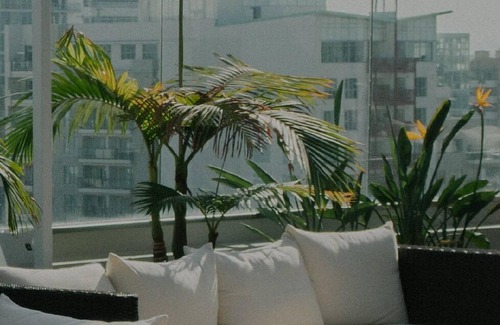 St. Elizabeth's Apartment | Trendy Brighton 1BR w/W/D, Gym, near T, Shops + Dining