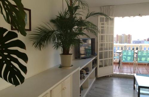 Carihuela Apartment | Tres Carabelas