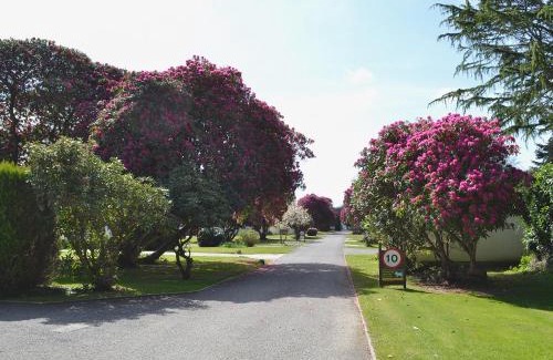 Liskeard House | Trevarno - B6527