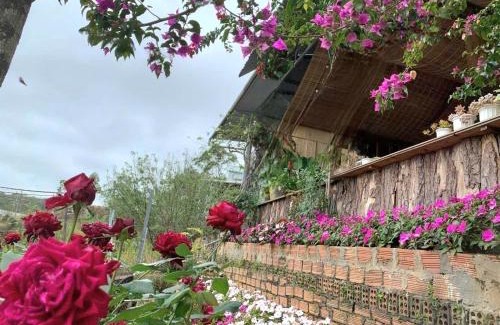 Phuong 10 Hotel | Triệu đoá hồng-Nhà Xinh Rosé