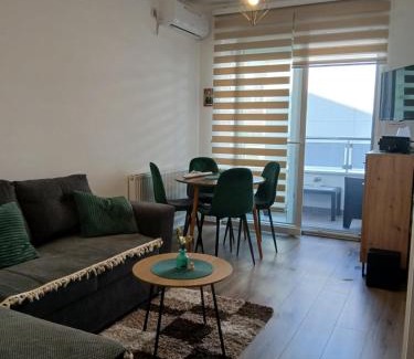 Banja Koviljaca Apartment | Tri srca