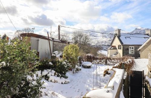 Manod House | Trigfa