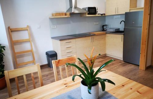 Bohinj Apartment | TriSa apartments Bohinj