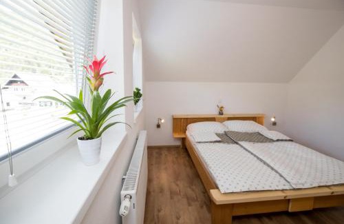 Bohinj Apartment | TriSa apartments Bohinj