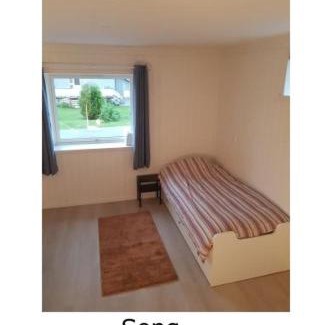 Hemnes Apartment | Trivelig leilighet for 1 person
