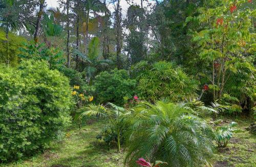Keaau House | Tropical Anuenue Cottage