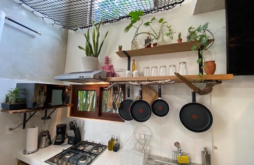 Merida Municipality House | Tropical Cenote Loft North City 420