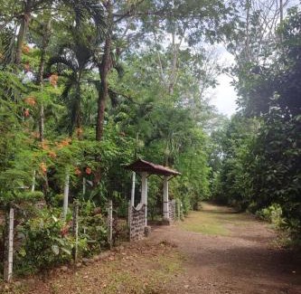 Chachagua Ski Chalet | Tropical Forest Adventure Near Arenal Volcano