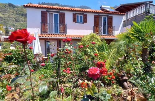 Arco da Calheta House | Tropical Garden