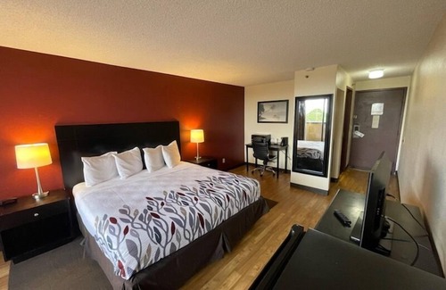 Clearwater Hotel | Tropical Palms Hotel