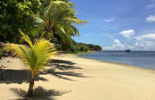 Antoneys Cay House | Tropical Treehouse - Sundancer 5A