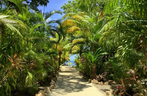 Antoneys Cay House | Tropical Treehouse - Sundancer 5A
