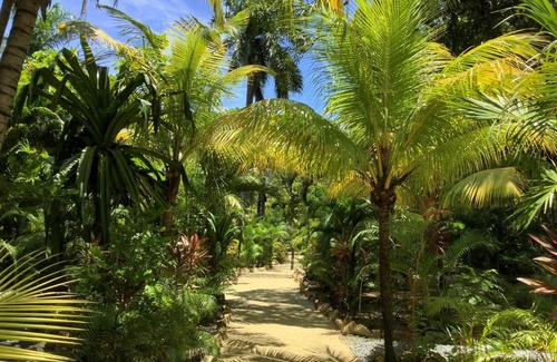 Antoneys Cay House | Tropical Treehouse - Sundancer 5A