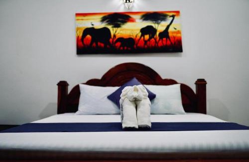 Kendwa Hotel | Tropicana Garden