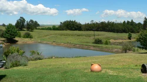 Curry's Post House | Troutbagger Farm