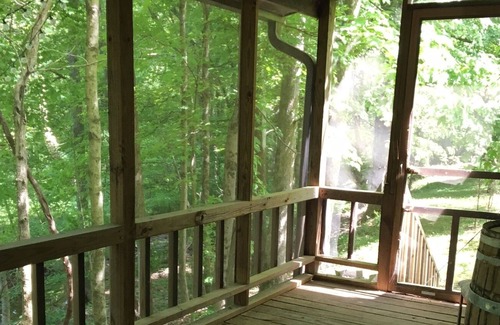 Birdseye Cabin | True Log Cabin! Sleeps 6! Close to park entrance! Free park pass!