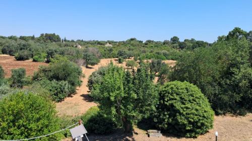 Ceglie Messapica House | Trulli Camaris