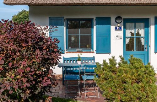 Wieck auf dem Darss House | Trumhus