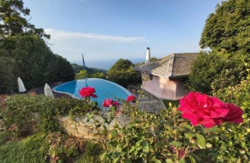 Zagora-Mouresi House | Tsagkarada Country Estate with Pool