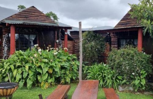 Witelsbos Other | Tsitsikamma Wolf Sanctuary ECO Cabins & Teepees