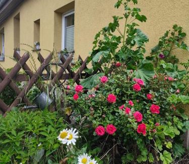 Trassenheide Apartment | Tu hus bei Faber - Fewo Milo -