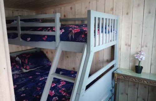 Llandovery Other | Tucson Cabin