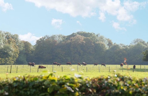 Wittersham House | Tufton Croft