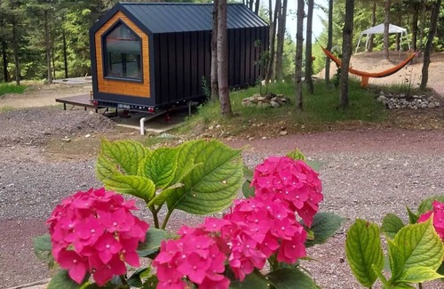 Kartepe Cabin | Tumba Sisli Vadi