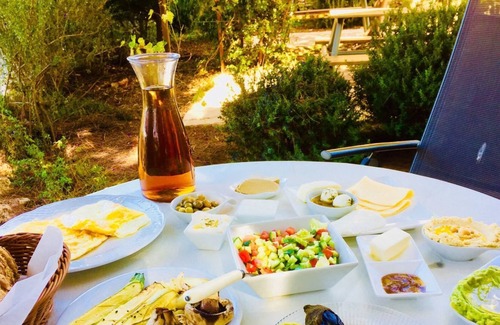 Jerusalem Other | Tur Sinai Organic Farm Resort