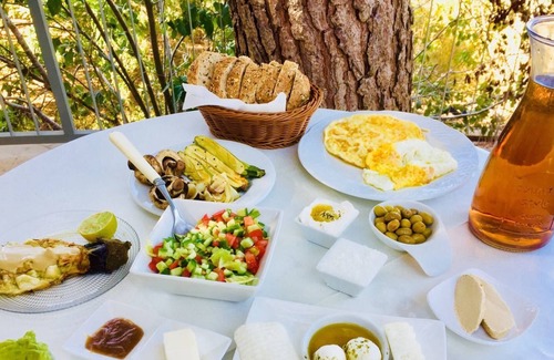 Jerusalem Other | Tur Sinai Organic Farm Resort