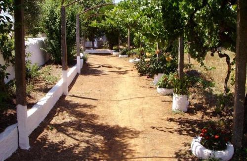 Sao Salvador da Aramenha House | Turimenha
