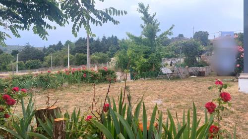 Guarda Apartment | Turismo Rural Macieira Brava