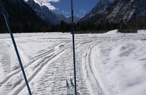 Mojstrana Apartment | Turisticna Kmetija Psnak