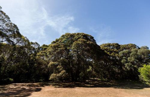 Deepdene House | Turner Brook