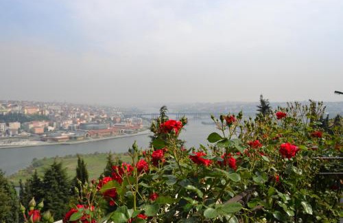 Sakarya Province Hotel | Turquhouse Hotel