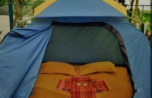 Honavar Other | Turtle island beach view tent stay JRN-Honnavar