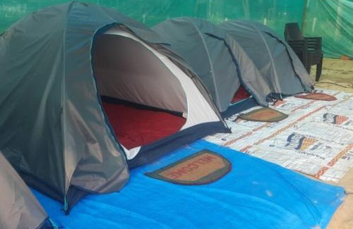 Honavar Other | Turtle island beach view tent stay JRN-Honnavar