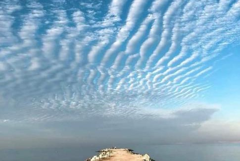 Al Ahyaa Apartment | Turtles beach resort hourghada studio view sea view pool private beach jacuzzi security air-conditioned Cafe restaurant on the beach and a large sunny balcony