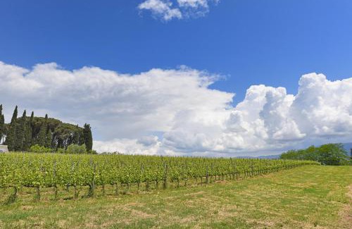 Rignano sull'Arno Apartment | Tuscan Home Panoramic Hills Terrace - Happy Rentals